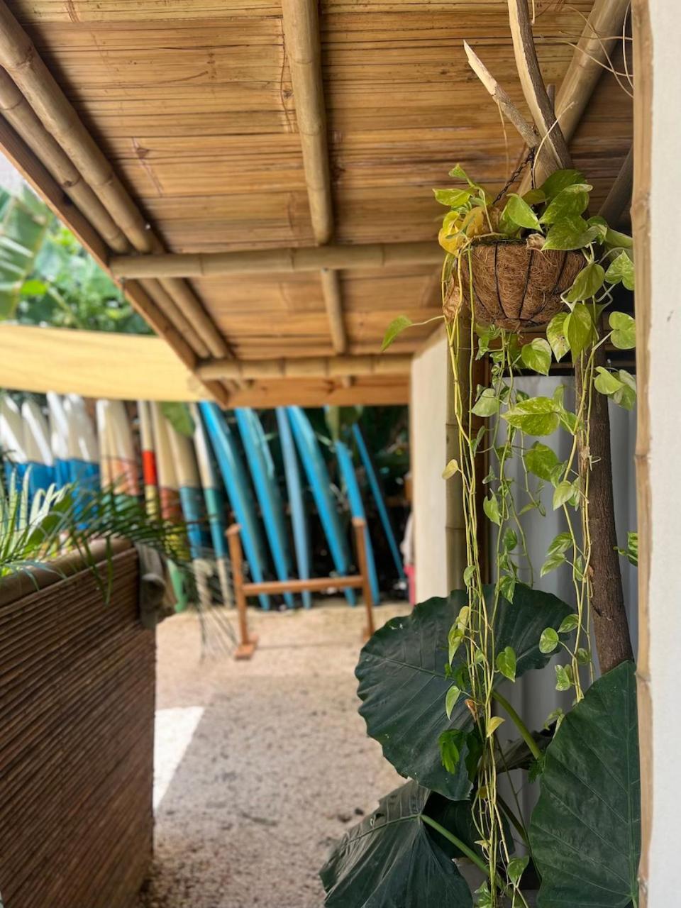 Хостел Dream Surf House Santa Teresa Playa Hermosa Cobano Екстер'єр фото