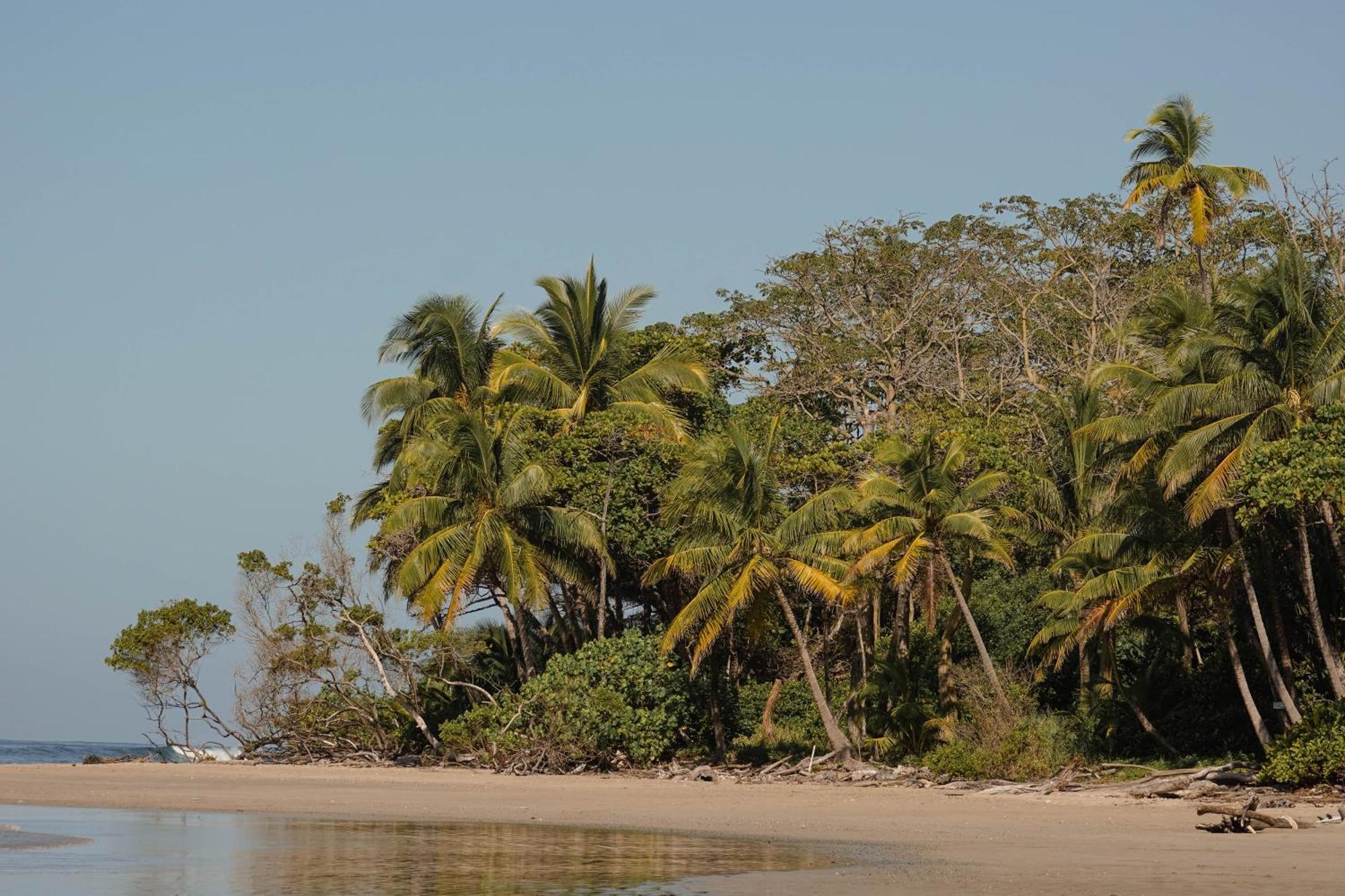 Хостел Dream Surf House Santa Teresa Playa Hermosa Cobano Екстер'єр фото